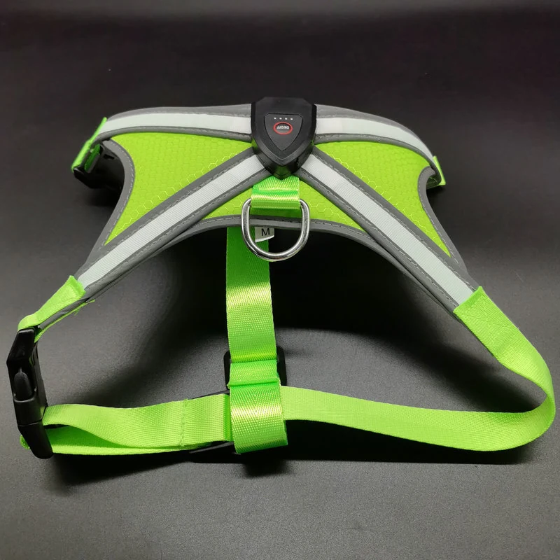 NightGuard K9 Aura met metalen D-ring en reflecterende afwerking